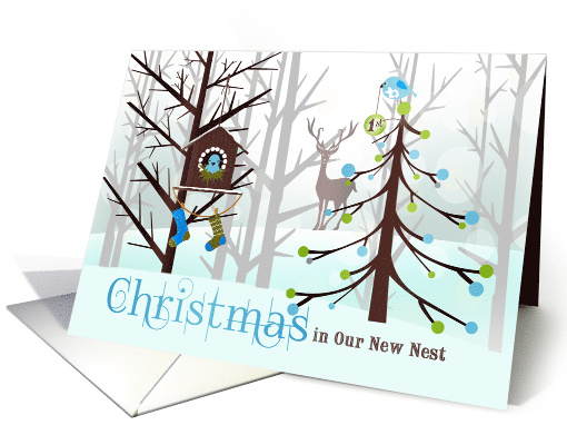 1st Christmas in Our New Nest Wild Birds in Winter card (1345496)