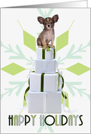 Papillon Dog Green Snowflake Holiday Blank Inside card