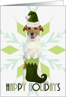 Jack Russell Terrier Dog Green Snowflake Blank Holiday card