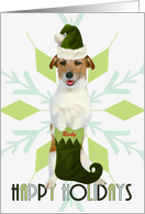 Jack Russell Terrier Dog Green Santa Hat & Stocking Custom card