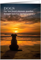 New Pet Shelter Adoption Congratulations Dog on the Beach card