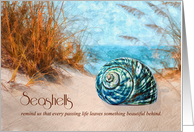From All of Us Sympathy Seashell on the Beach Watercolor card