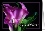 from Group Condolences Purple Calla Lily on Black Botanical card