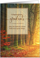 for the Graduate Woodland Path Sunlit Forest card