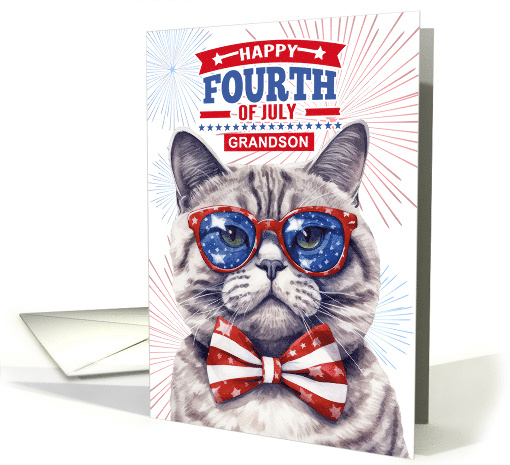 for Grandson 4th of July Cute Patriotic Cat card (1382016)