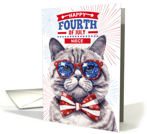 for Niece 4th of July Cute Patriotic Cat card (1382020)