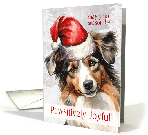 Pawsitively Joyous Season Australian Shepherd Santa card (1405654)