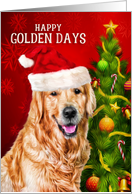 Happy Golden Days Golden Retriever Christmas Dog card