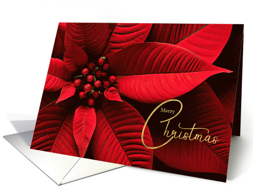 Christmas Poinsettia Red Botanical Holiday card (1411588)