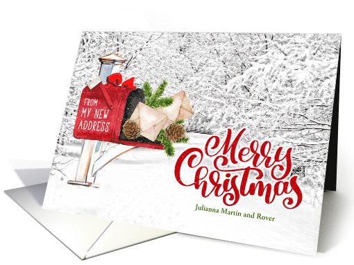 Merry Christmas From MY New Address Winter Mailbox card (1411730)