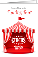 Circus Summer Camp...