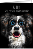 Funny Border Collie with Reading Glasses and Gray Hair card