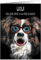 Congratulations on Your New Glasses Funny Border Collie card