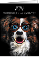 Congratulations on Your New Glasses Funny Border Collie card