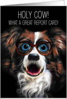 Good Grades Congratulations with Funny Border Collie in Glasses card