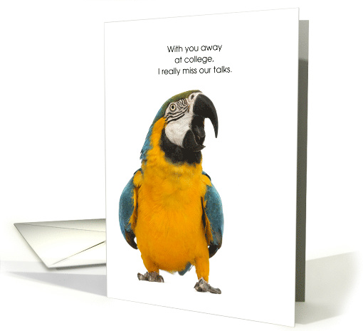 from Pet Bird Thinking of You Away at College card (1447692)