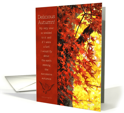 Thanksgiving Delicious Autumn Foliage and Message card (1453836)