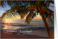 Season’s Greetings Tropical Beach Island Palm Tree Scene card