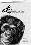 Sympathy Zoo Animal Loss Painted Chimpanzee card
