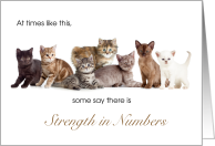 Cat with Cancer Encouragement for Pet Owner card