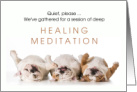 Dog Cancer Patient Get Well Healing Meditation card