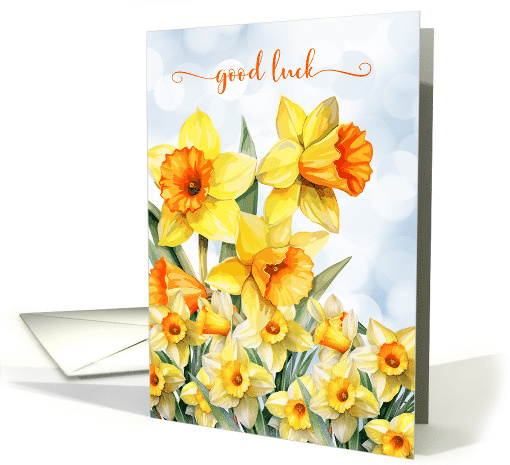 Good Luck Daffodil Garden with Blue Sky Bokeh card (1482220)