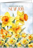 New Job Congratulations Bright Daffodil Garden card