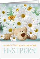 New Baby Congratulations on Your First Born Teddy Bear and Daisies card