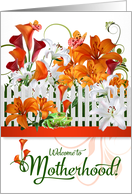 New Mom Congratulations Bold and Colorful Lily Garden card