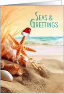 Beach Themed Holiday with Season’s Greetings in the Sand card