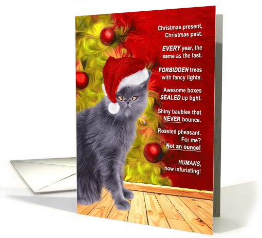 Funny From the Cat Christmas Grumbles and Silly Poem card (1492570)