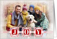 Red and White JOY Elegant Holiday with Family Photo card