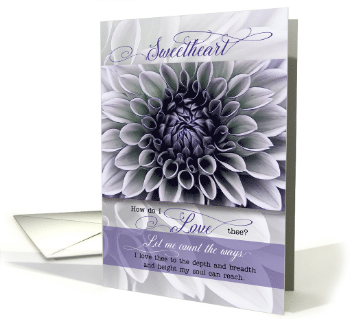 Sweetheart Romantic Birthday Soft Lavender Floral Petals card