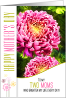 for Two Moms on Mother’s Day Pink Dahlia Garden Painting card