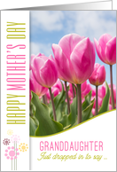 for Granddaughter on Mother’s Day Pink Tulip Garden card