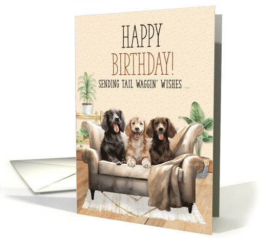 Dog Lover Birthday Three Dogs on a Sofa Tali Waggin' Wishes card