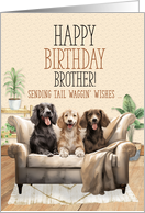 for Brother Birthday Three Dogs on a Sofa Tali Waggin’ Wishes card