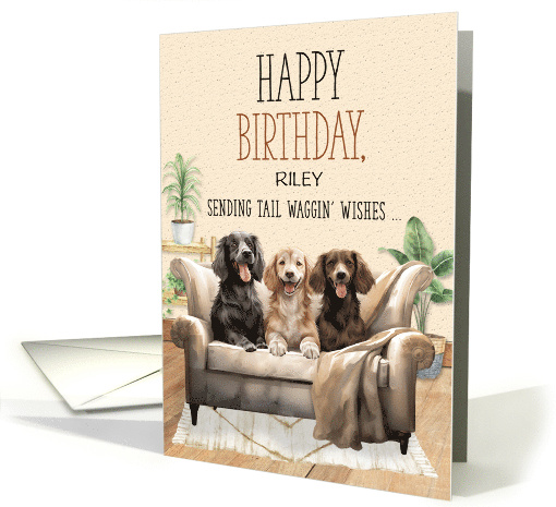for Dog's Birthday Three Dogs on a Sofa Tali Waggin'... (1509334)