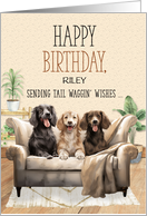 for Dog’s Birthday Cute Cartoon Dogs with Argyle Pattern Custom card