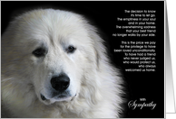 Great Pyrenees Dog Pet Sympathy Euthanasia card