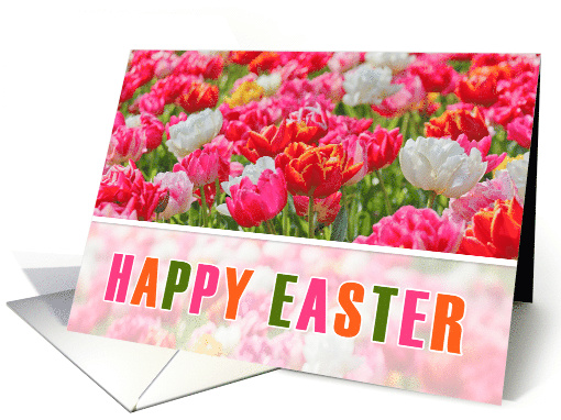 HAPPY EASTER Colorful Tulip Garden Pink Orange and White card