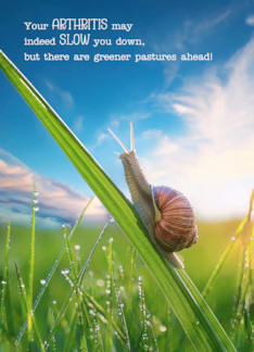 Arthritis Get Well Snail Pace with Greener Pastures Ahead