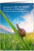 Knee Replacement Get Well Snail Pace with Greener Pastures Ahead