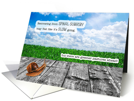 Spinal Surgery Get Well Snail Pace with Greener Pastures Ahead card