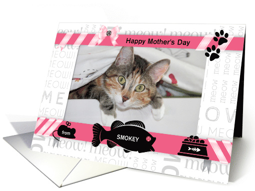 from the Cat Fun Mother's Day Pink and Black with Pet's Photo card