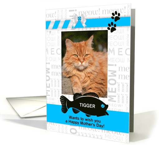 from the Cat Fun Mother's Day Blue and Black with Pet's Photo card