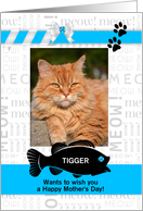 from the Cat Fun Mother’s Day Blue and Black with Pet’s Photo card