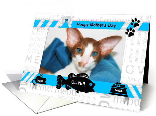 from the Cat Fun Mother's Day Blue and Black with Pet's Photo card