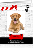 from the Dog Fun Mother’s Day Red and Black with Pet’s Photo card