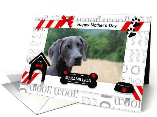 from the Dog Fun Mother's Day Red and Black with Pet's Photo card
